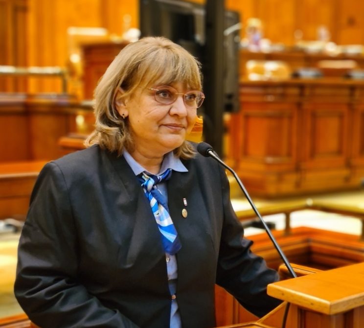 Cristina Vecerdi deputat pnl