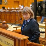 Deputatul Cristina Vecerdi PNL Brașov