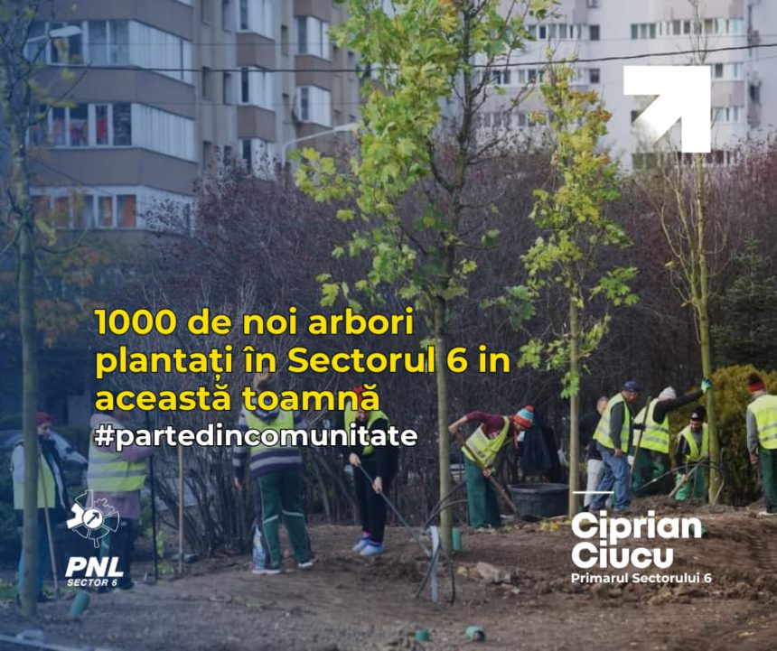 București: 1000 de noi arbori plantați în Sectorul 6 în această toamnă