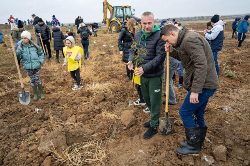 Consiliul Județean Ilfov și sute de voluntari au plantat un parc de 5 hectare în satul Bălăceanca