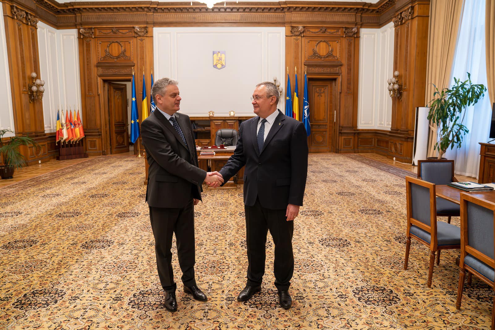 Preşedintele Senatului Nicolae Ciucă s a întâlnit cu viceprim ministru pentru Reintegrare al Republicii Moldova, Oleg Serebrian